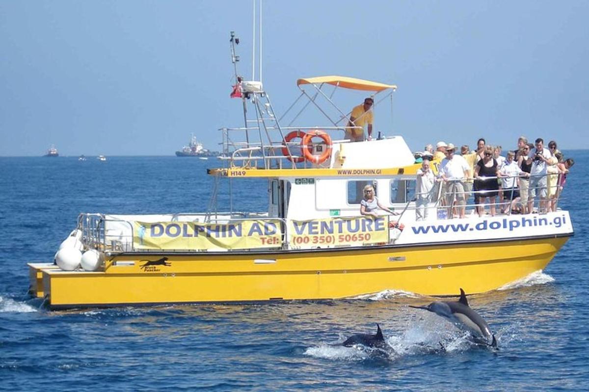 a yellow boat with dolphins in the water