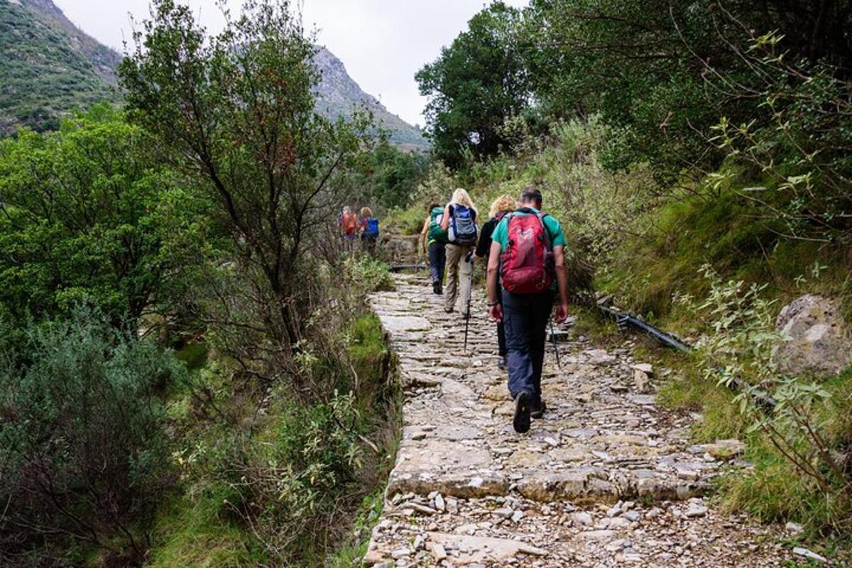 a group of people walking down a rocky trail