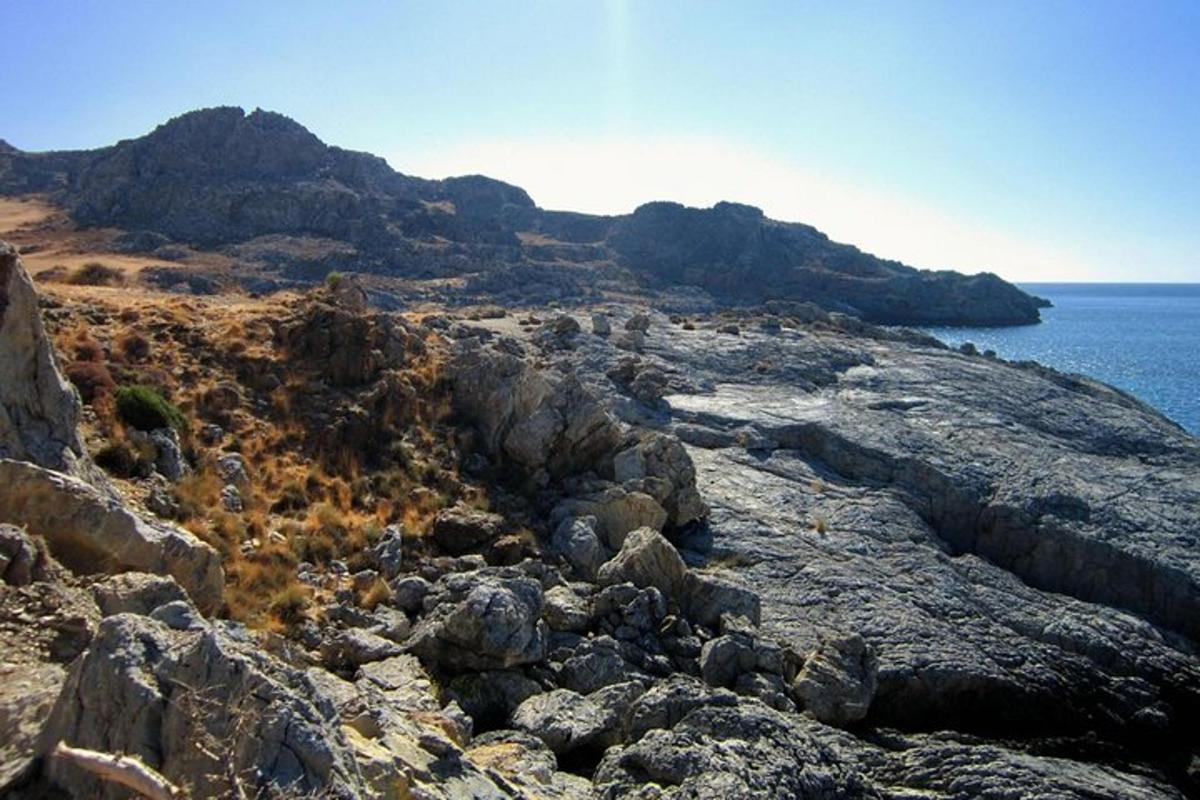 un grup de stânci pe malul oceanului