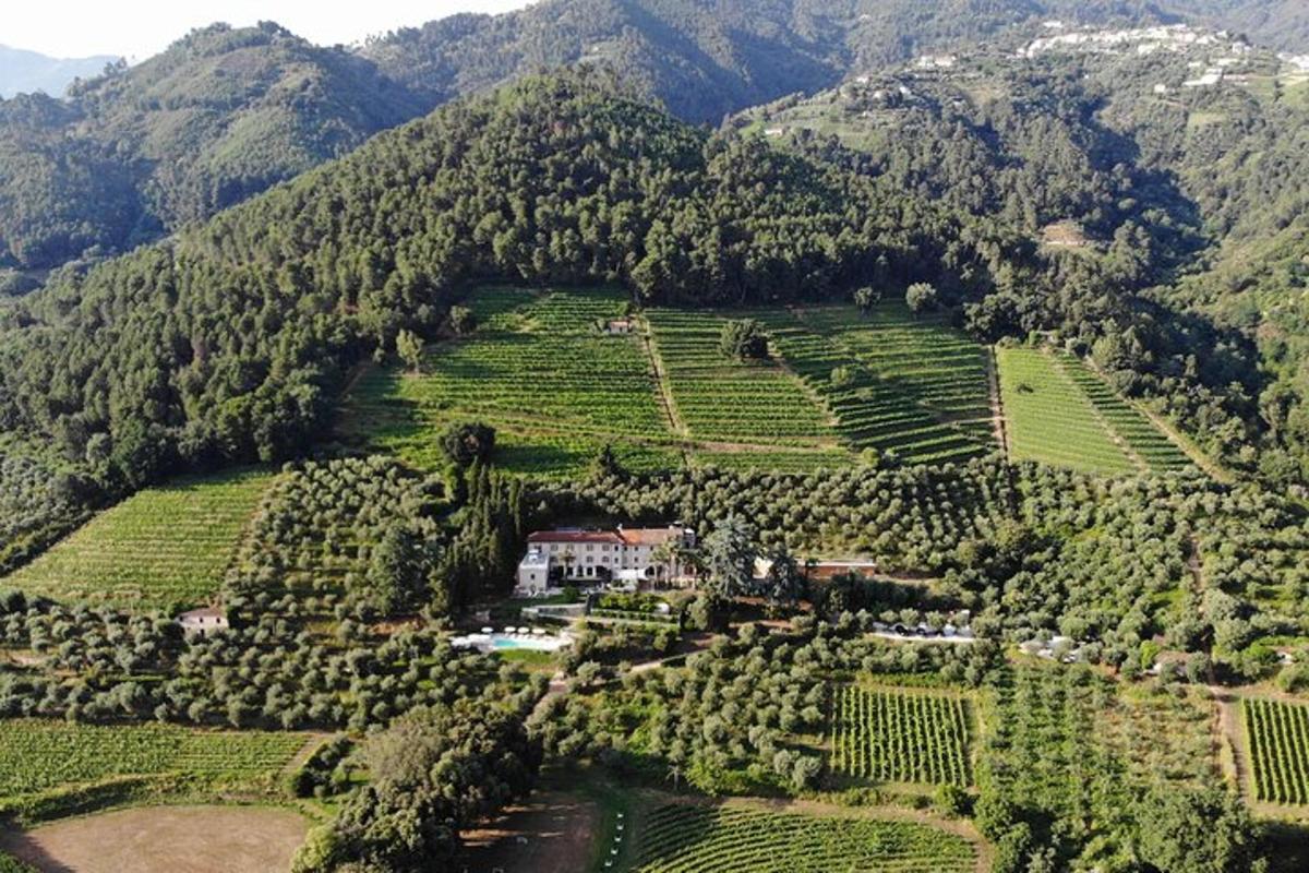 uma vista aérea de uma casa no meio de uma montanha