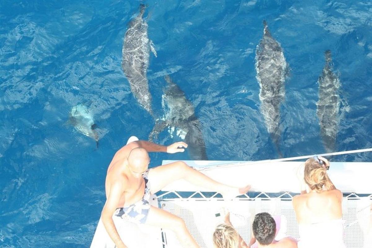 un gruppo di persone su una barca con gli squali in acqua