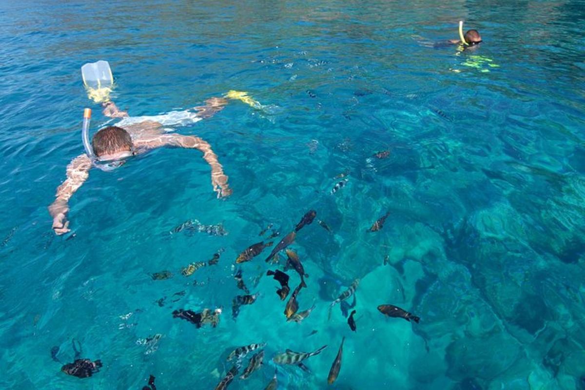 una persona che nuota nell'acqua con i pesci