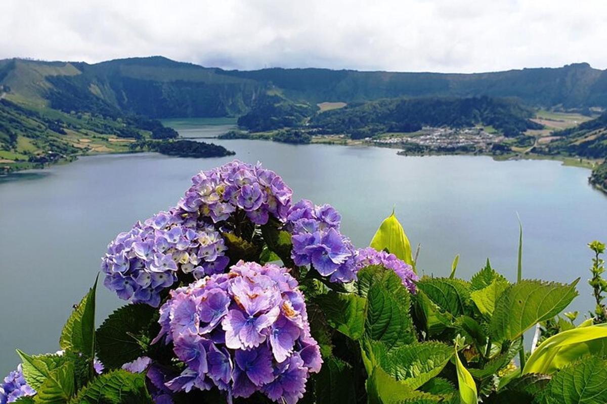 uma vista de um corpo d'água com flores roxas