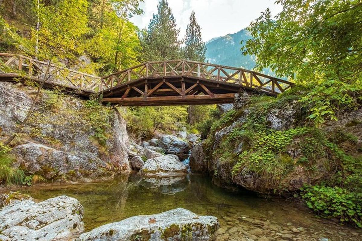un pod de lemn peste un râu într-o pădure