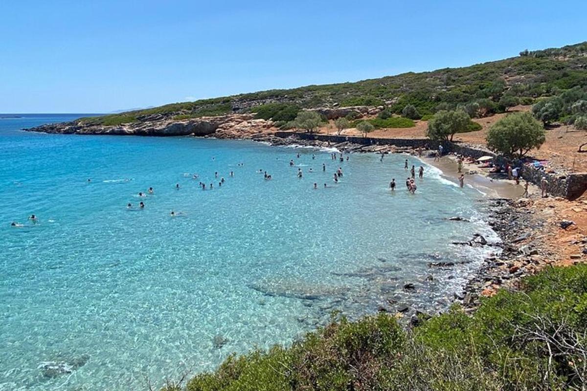 Un grupo de personas en el agua en una playa