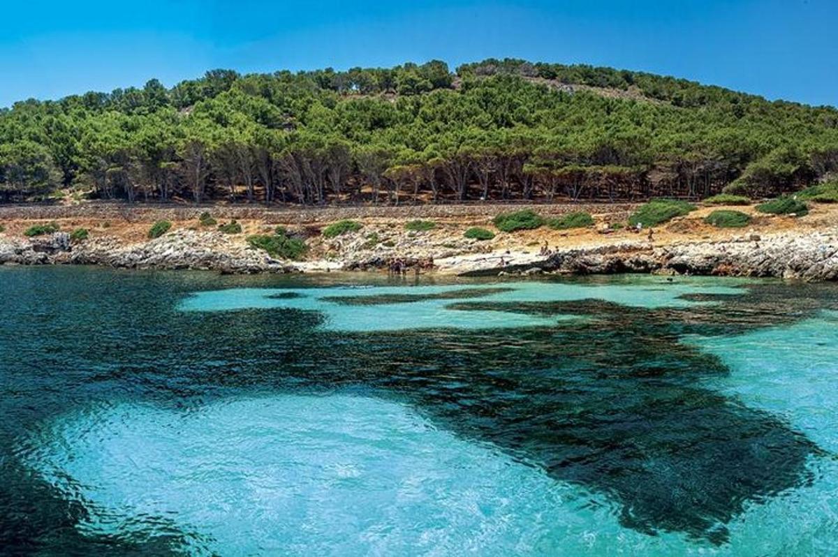 μια εναέρια άποψη ενός υδάτινου σώματος