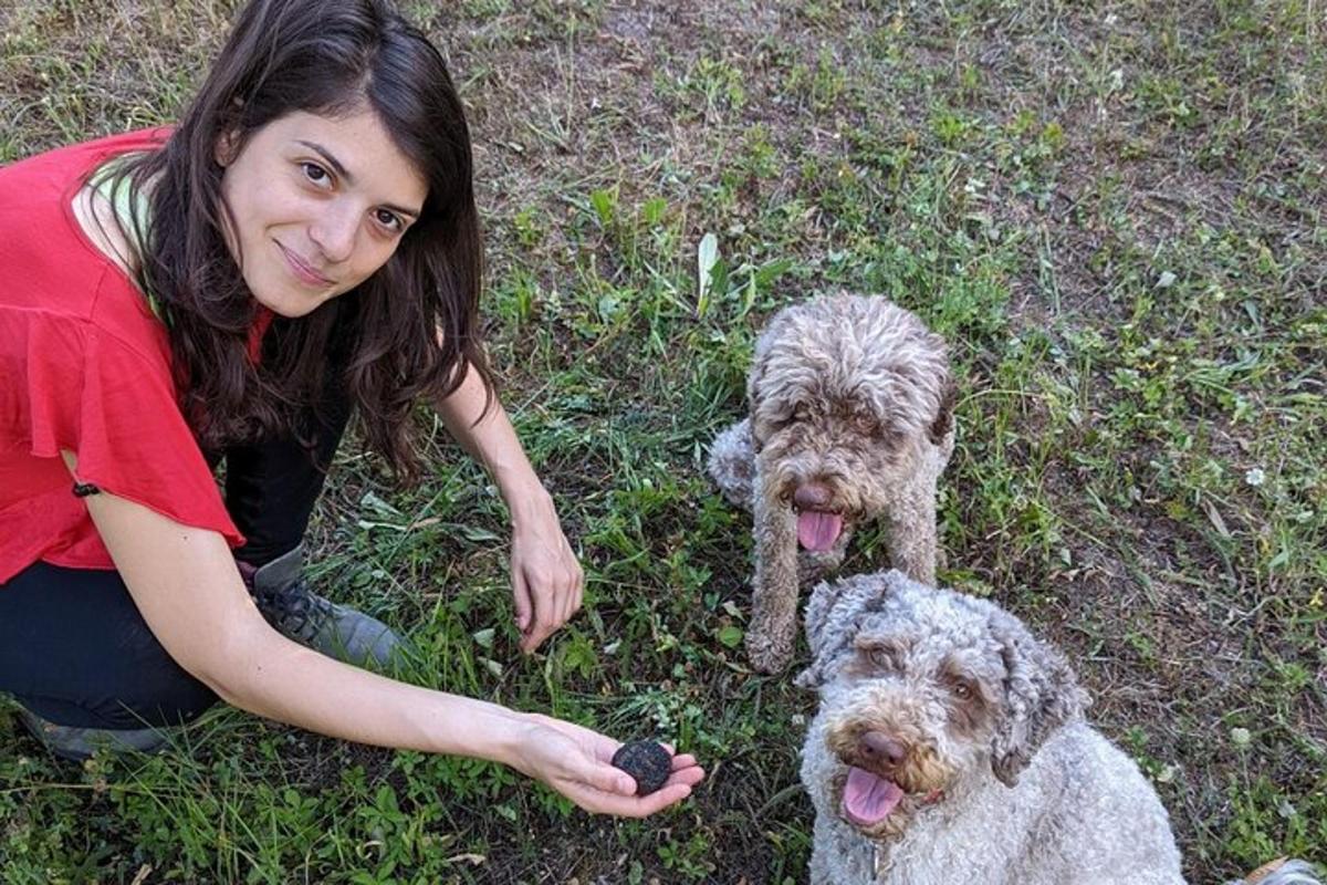 seorang wanita duduk di samping dua anjing di rumput