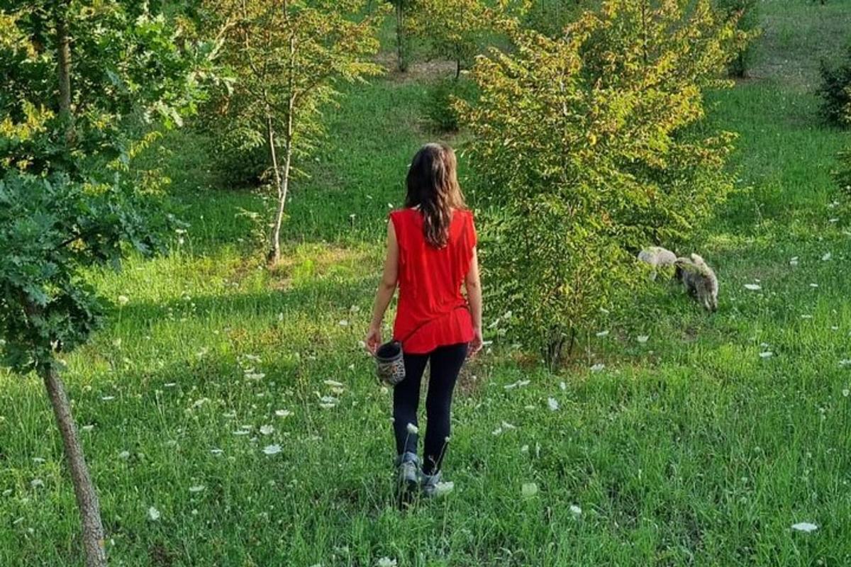 seorang wanita berjalan di ladang rumput