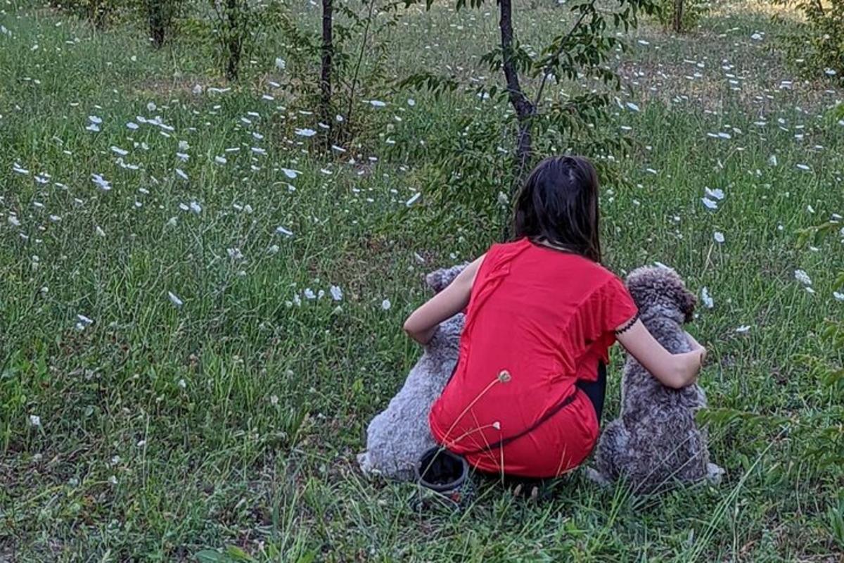 seorang gadis duduk di atas boneka beruang di rumput