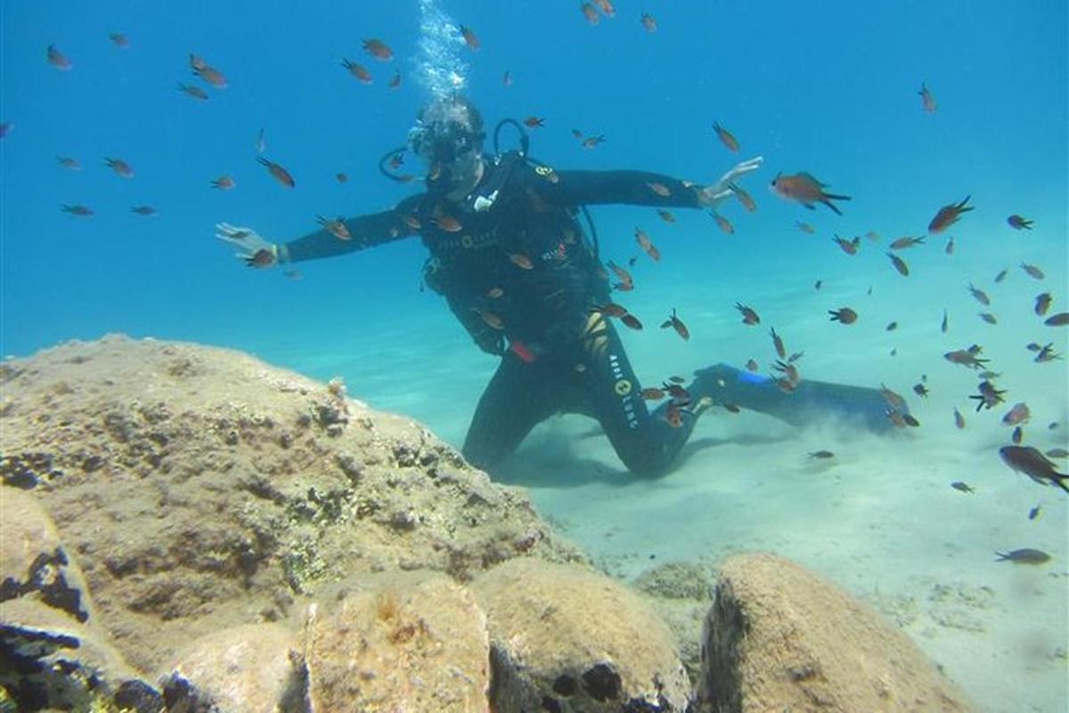 a diver in the water with a school of fish