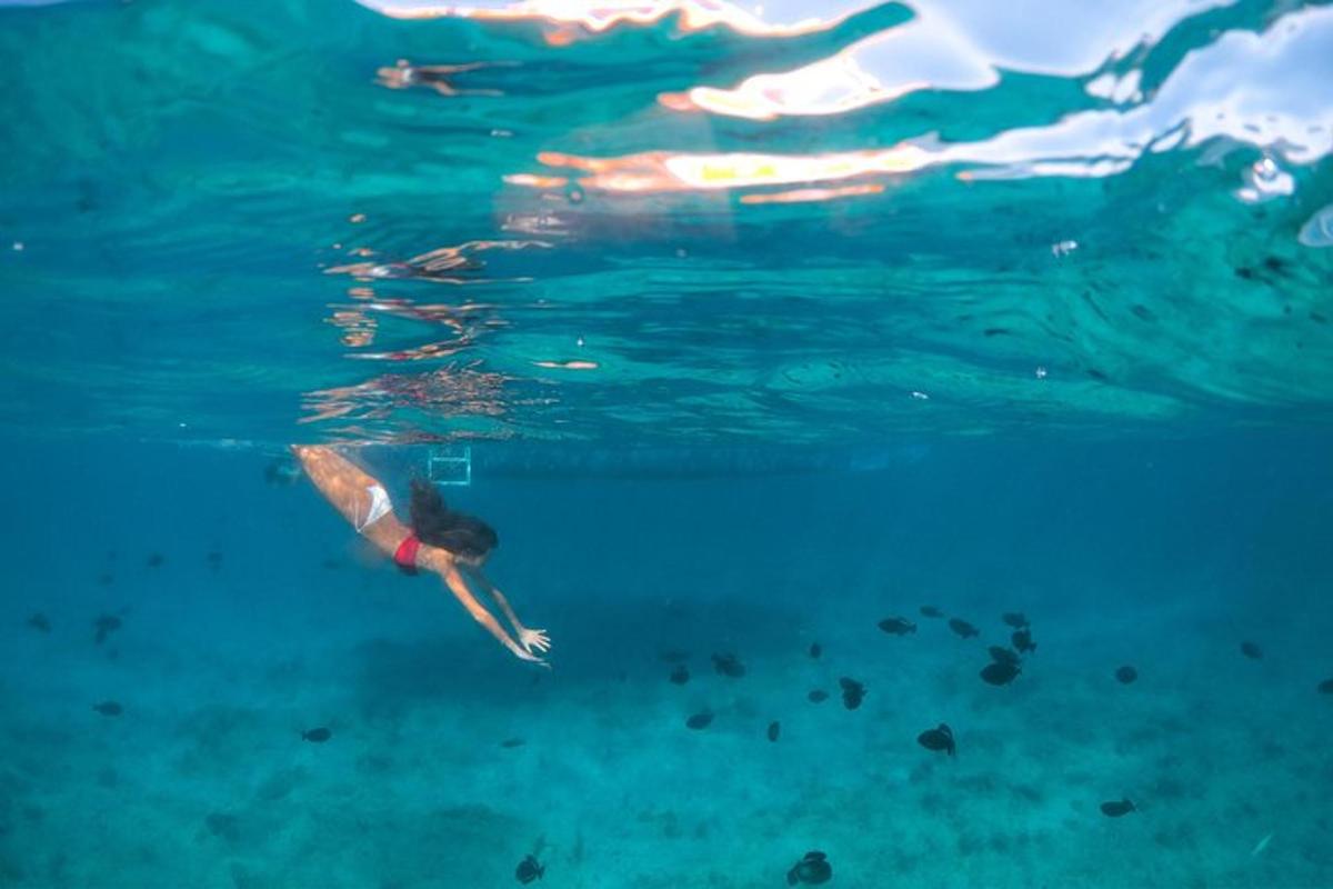 a person swimming in the water in the ocean