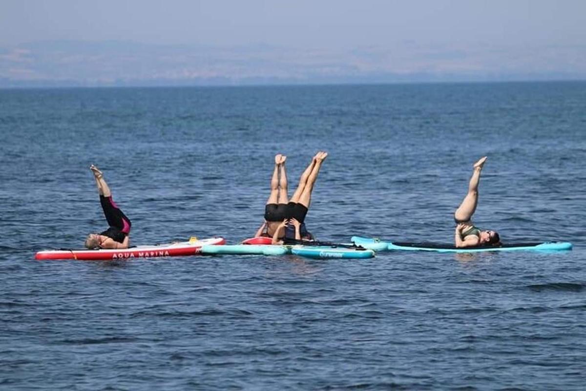 a group of people laying on surfboards in the water