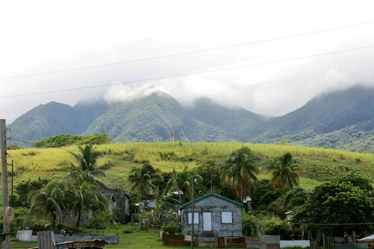 a view of a mountain with palm trees and a house