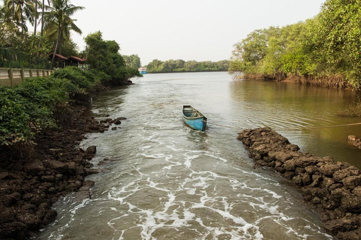 isang maliit na asul na bangka sa isang ilog na may mga bato