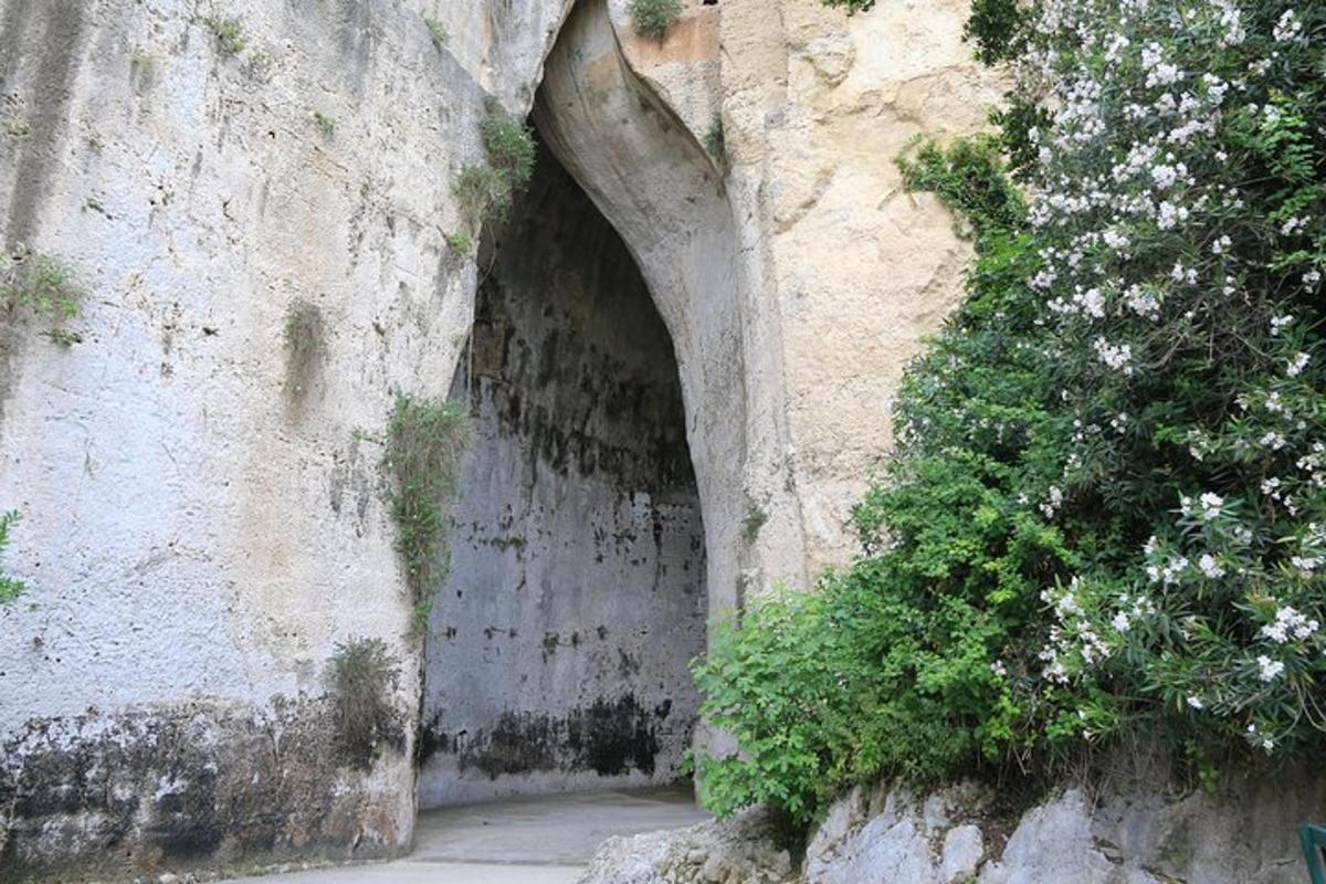 un tunnel nel lato di una parete rocciosa con fiori