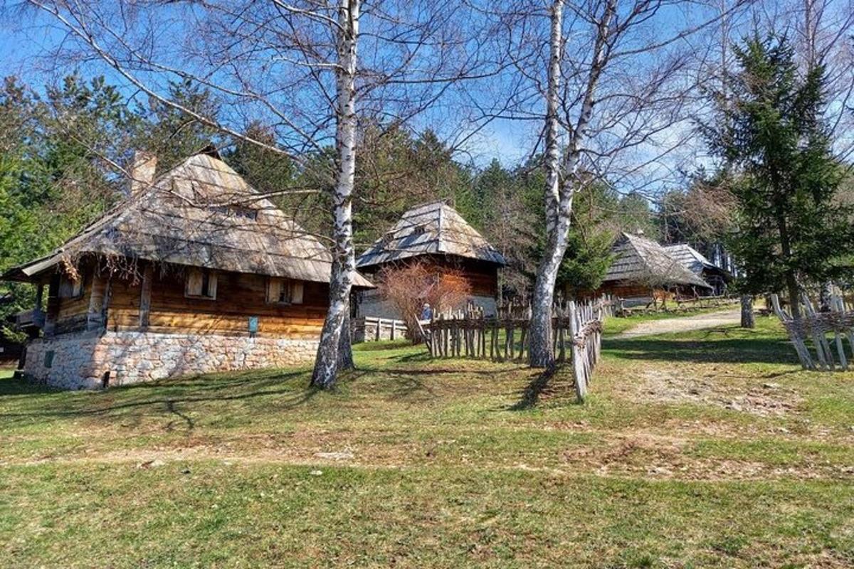 stará srubová chata v poli se stromy