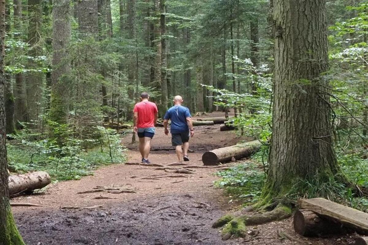 two men walking down a dirt trail in the woods