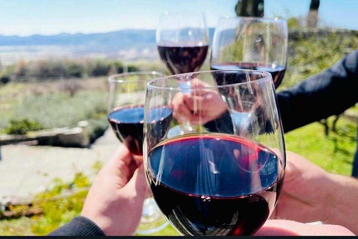 two people holding up two glasses of red wine