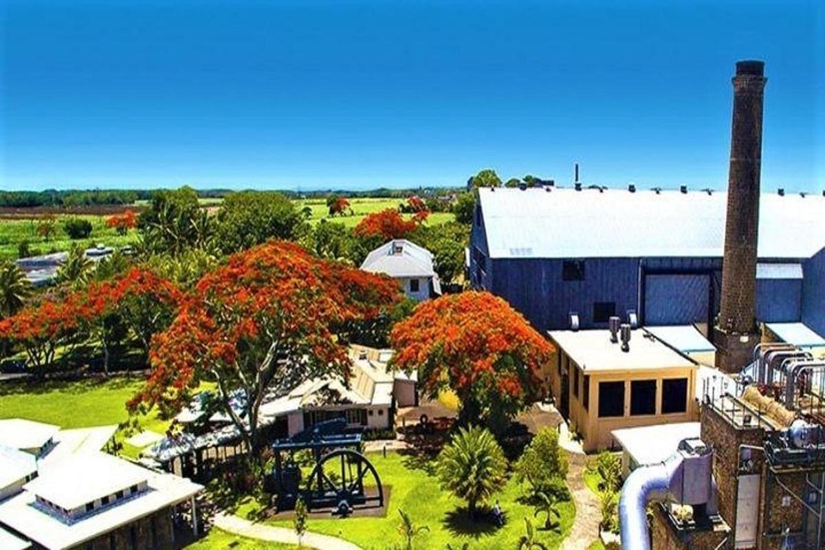 una vista aerea di un edificio con alberi in fiore rossi