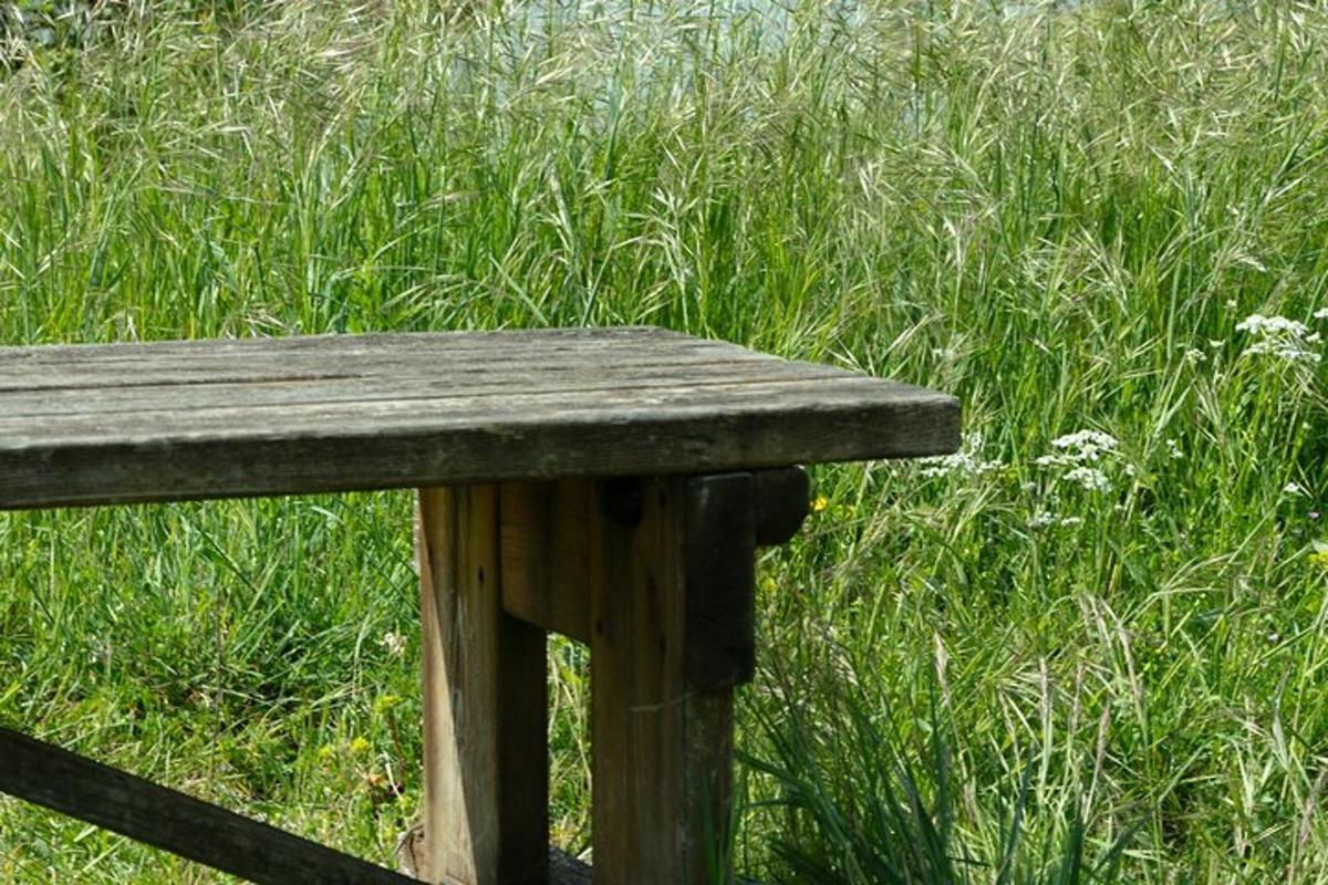 a wooden bench sitting in a field of grass