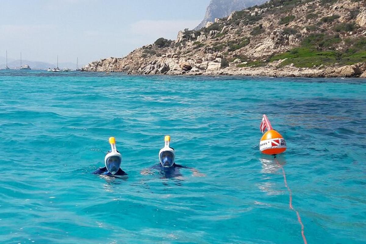 two ducks in the water next to a small boat