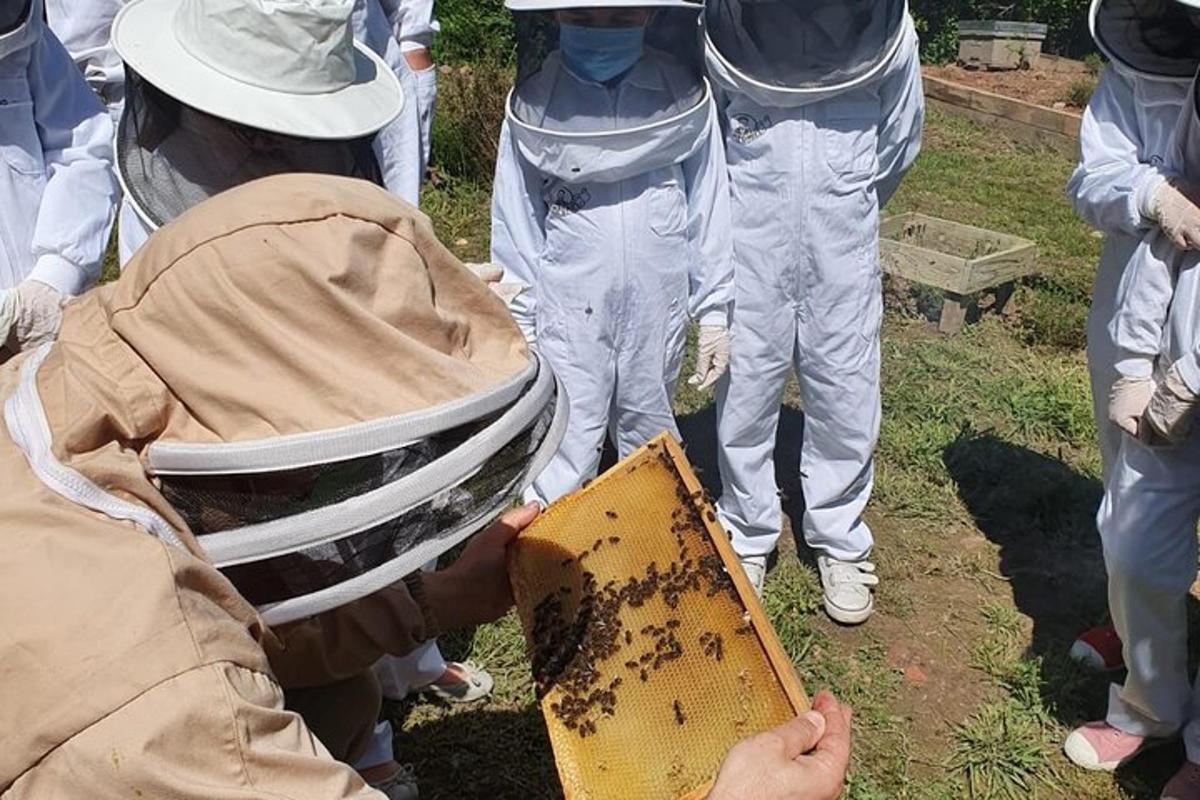 a man with a beekeeper holding a container of bees