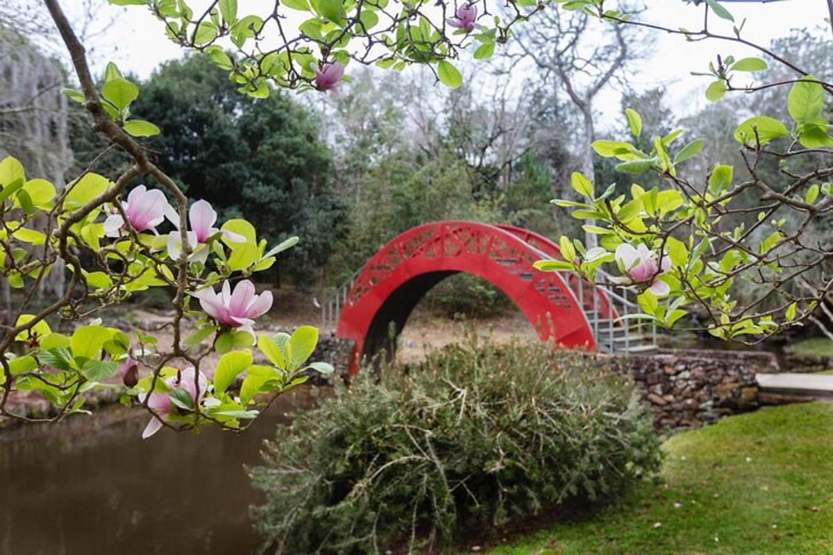 červený most přes vodní plochu s růžovými květy