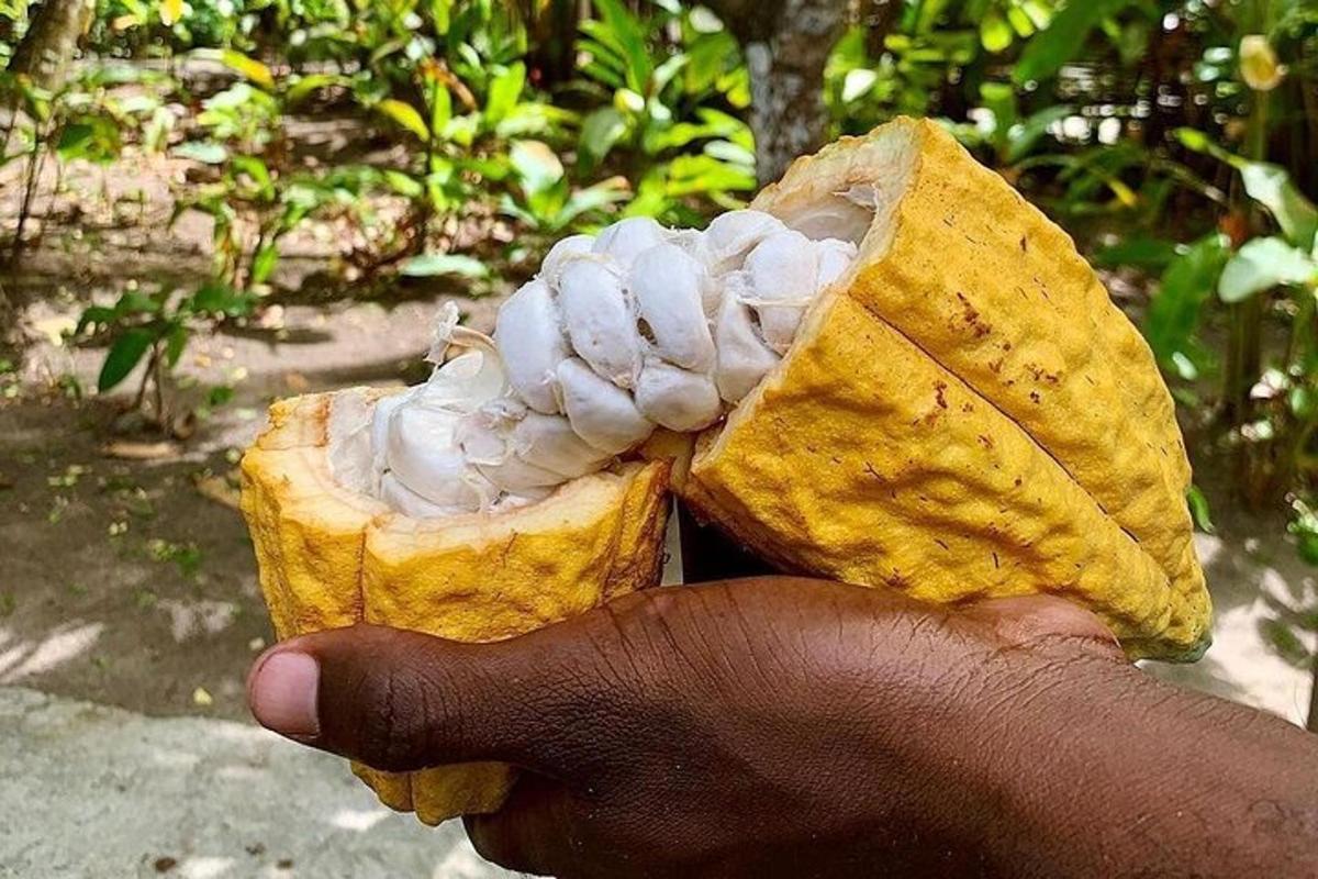 a person holding up a half eaten banana
