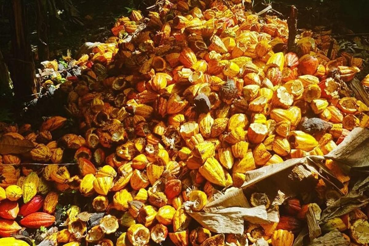 a large pile of fruit and vegetables on display