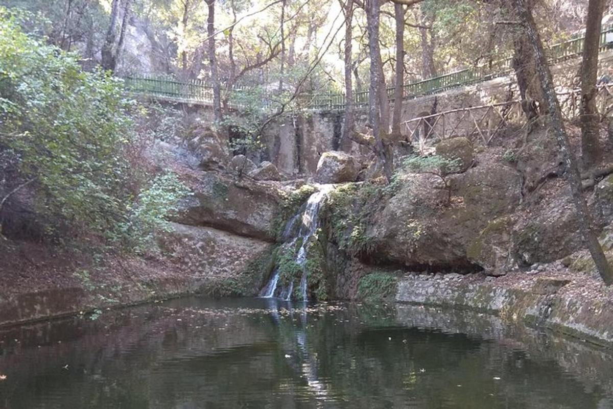 河中央的一个小瀑布