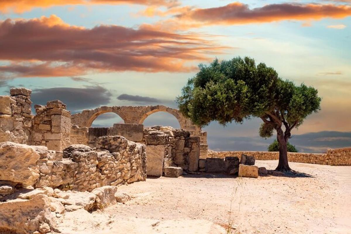 a tree in front of a building with two archways