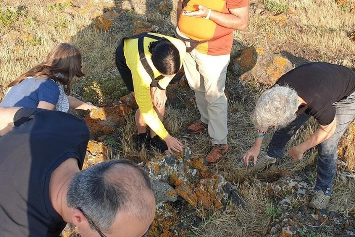 un gruppo di persone che osserva le rocce in un campo