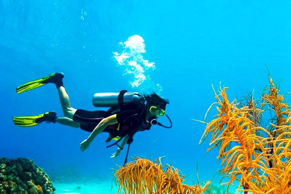 une personne nageant dans l'océan avec un appareil photo