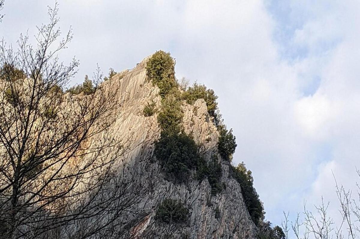 una muntanya rocosa amb plantes al cim