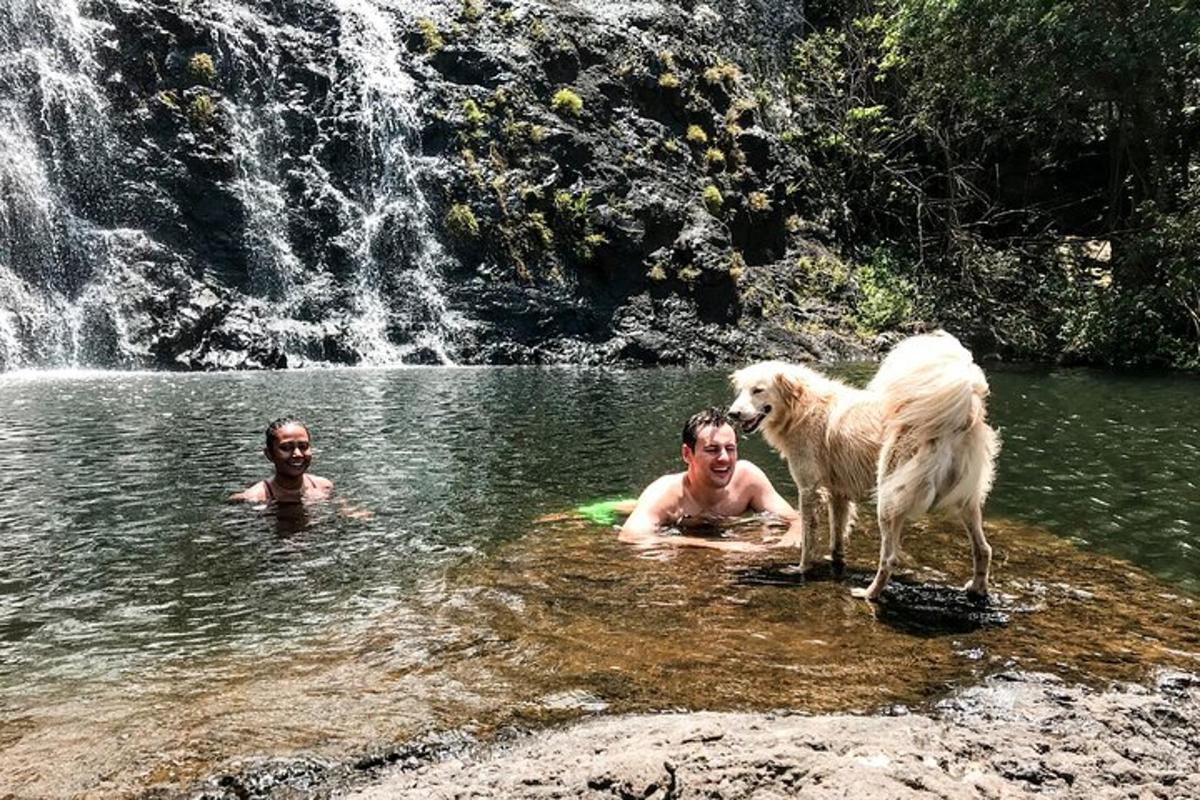 un uomo e un cane in piedi nell'acqua vicino a una cascata