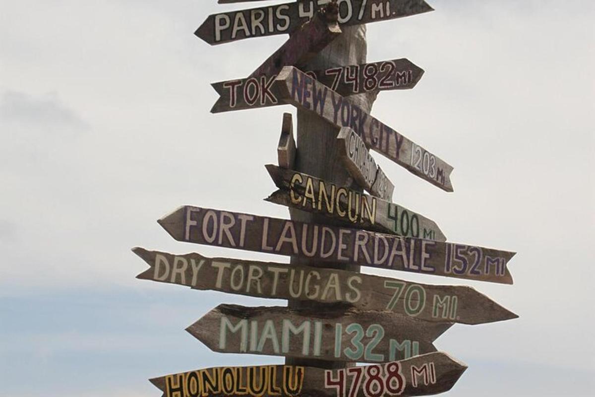 a group of street signs pointing in different directions
