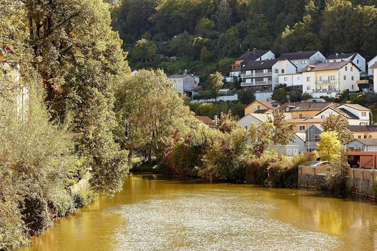 a river with trees and houses in a town