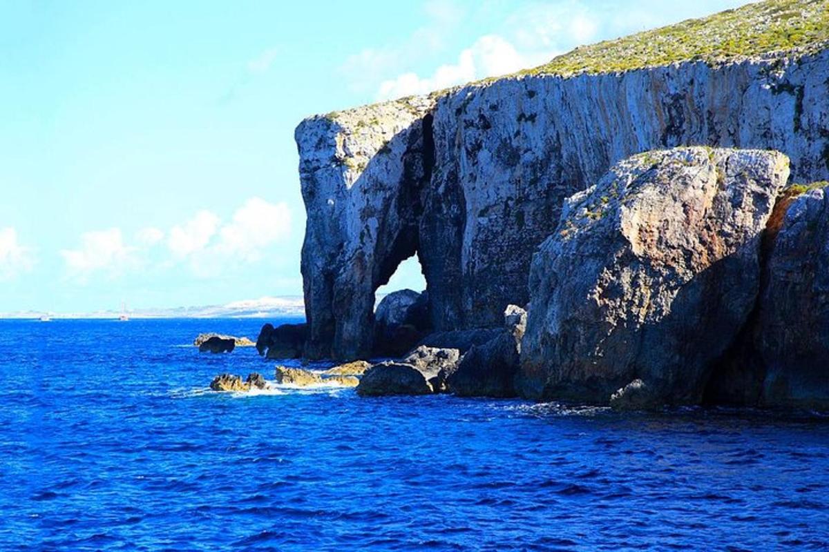 μια ομάδα ζώων στο νερό κοντά σε έναν σχηματισμό βράχου