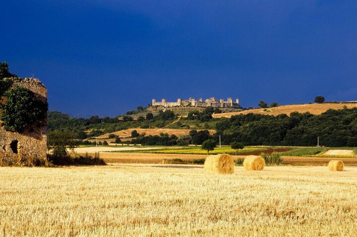 um castelo em uma colina com um campo de feno