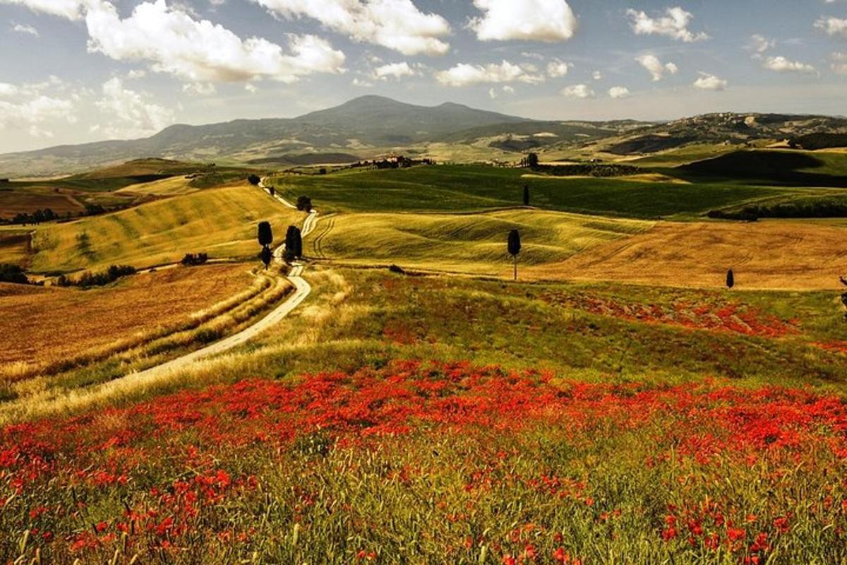two people walking down a road in a field of flowers
