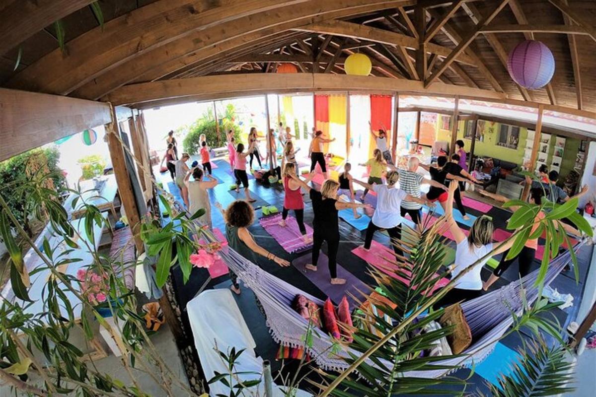 a group of people doing yoga in a room