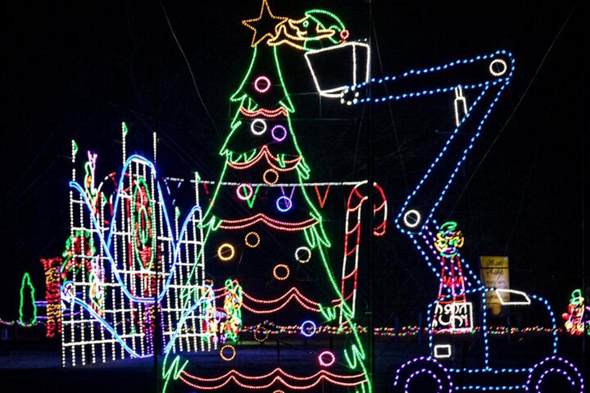 a christmas display with a christmas tree and lights