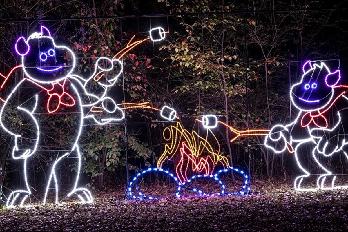 a group of lit up animals standing next to a fire