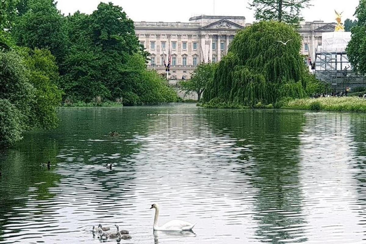 zwei Schwäne schwimmen in einem See vor einem Gebäude