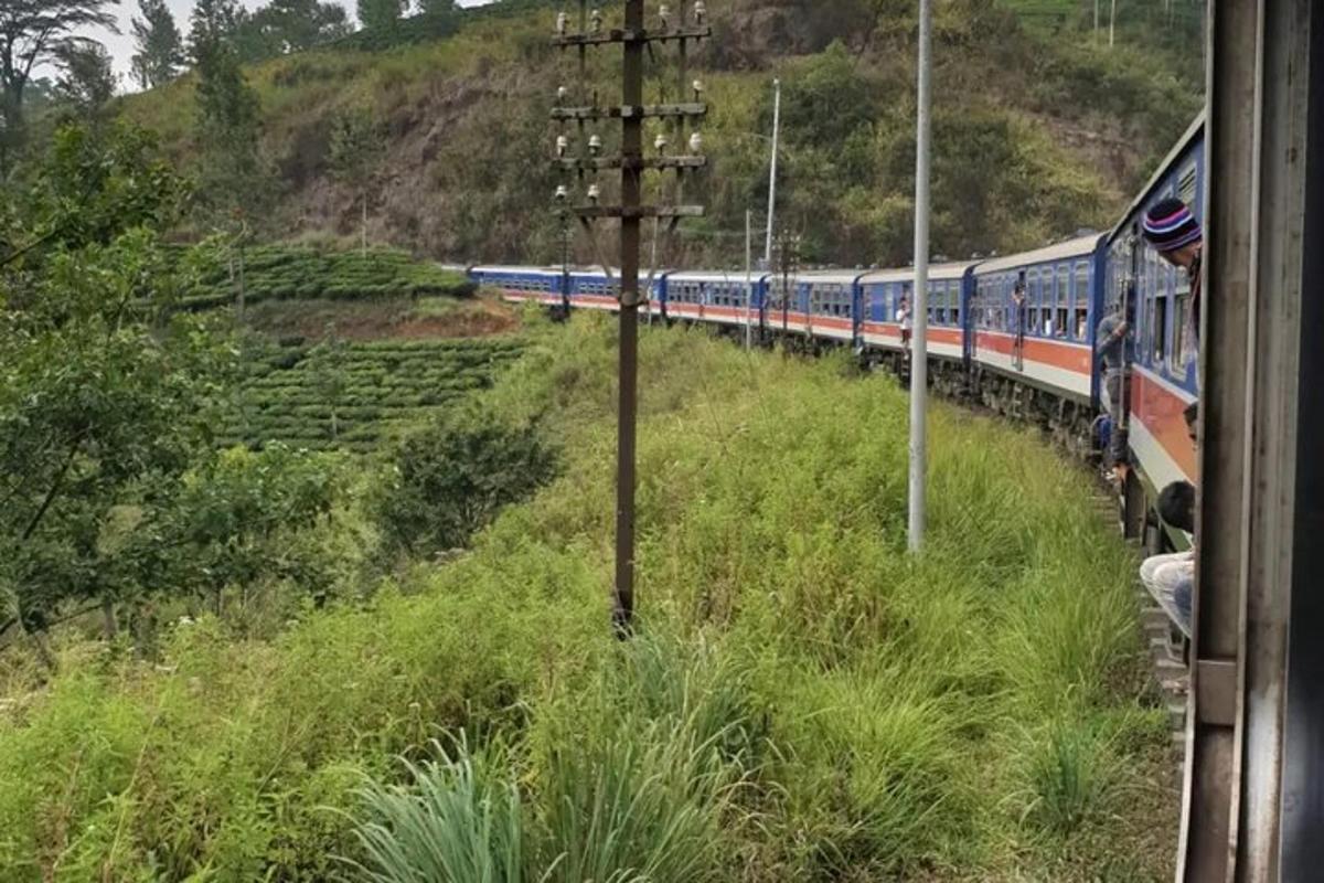 un tren coboară un deal acoperit de iarbă