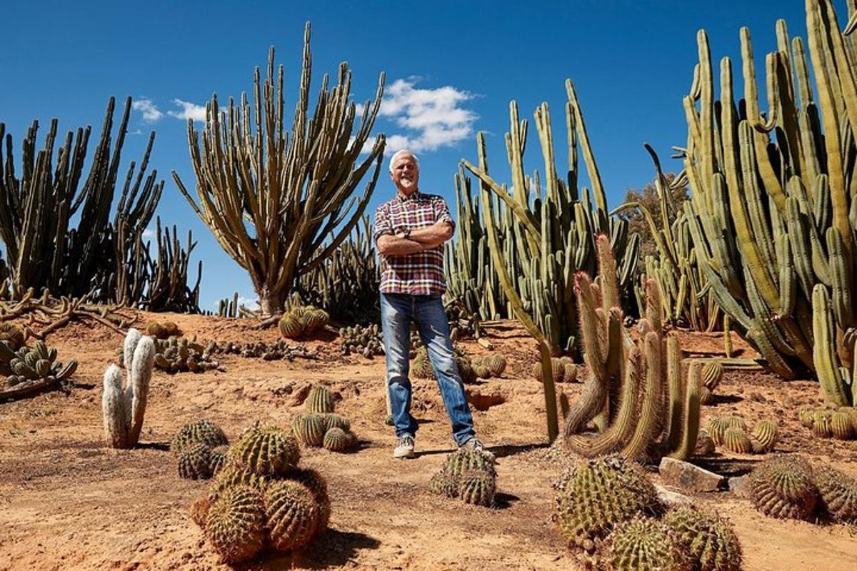 a man standing in front of a cactus