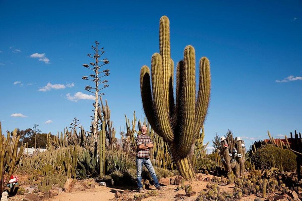 a man standing next to a cactus in a desert