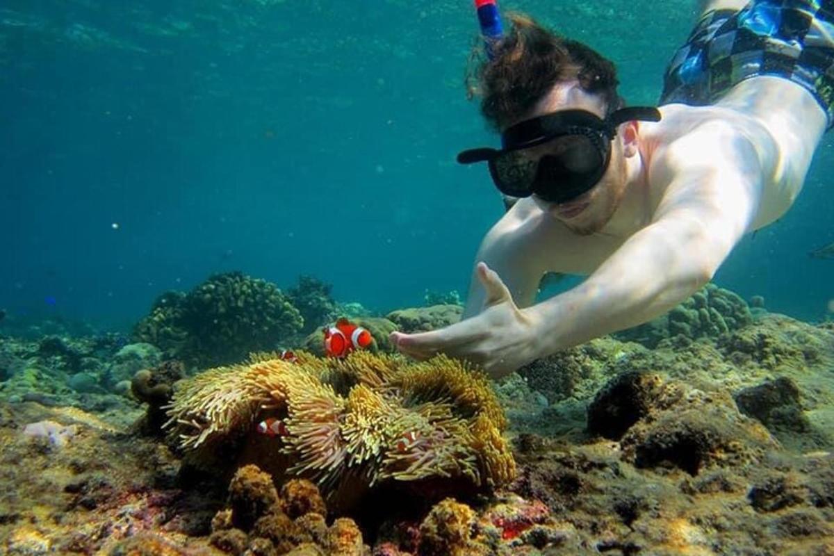 a man in the ocean looking at a coral reef