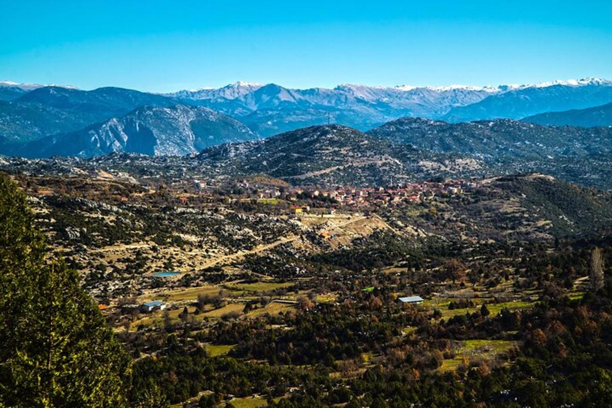 una vista aerea di una città con le montagne sullo sfondo