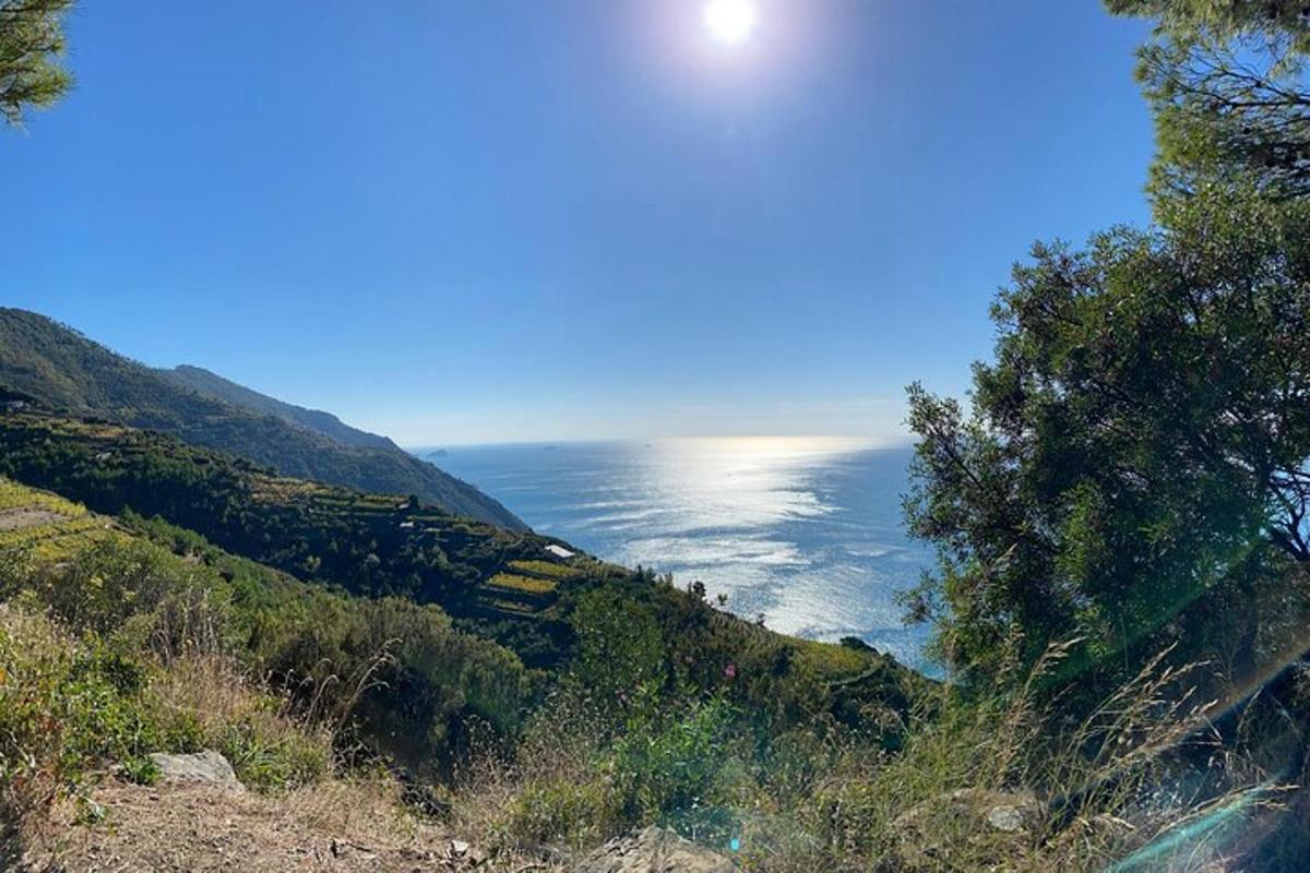 una vista del océano desde una colina